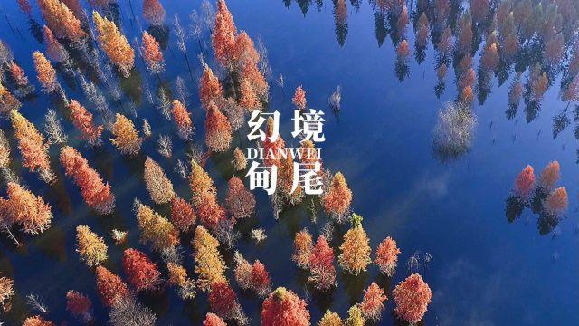 内勤工作