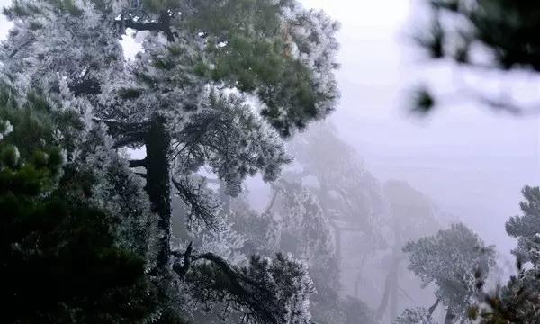飞跃沙丘的小球