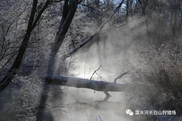 开800V春节自驾去海南?
