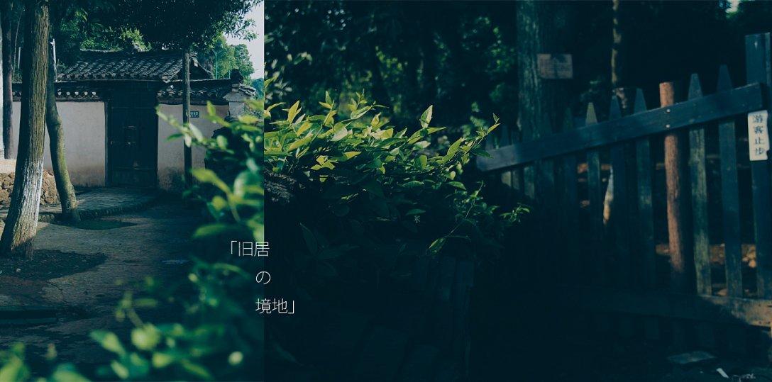 起猛了!在浙江台州看到南极企鹅在玩雪!