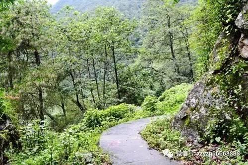 深圳工会到保障房项目工地送温暖