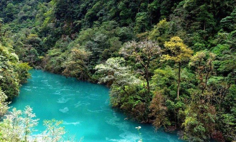 宜州夯实“三农”根基推进乡村振兴