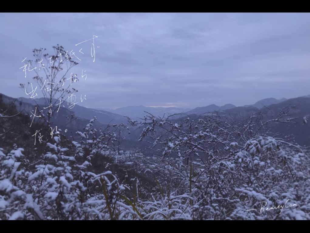 召唤神龙万宁版祖龙