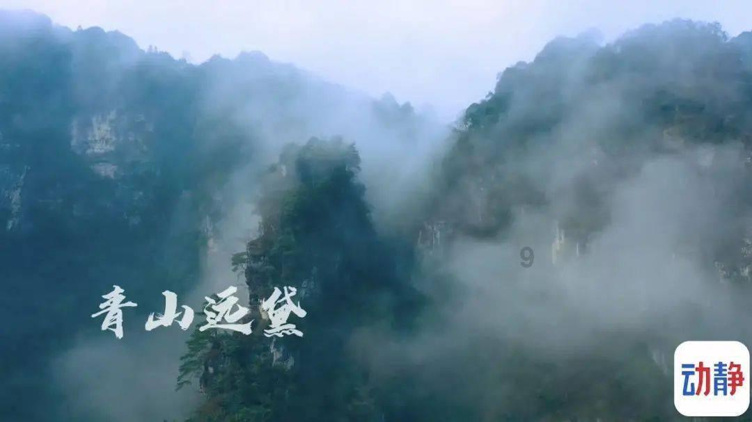 深圳CBD:好吃的没它能搞钱,能搞钱的又没它好吃