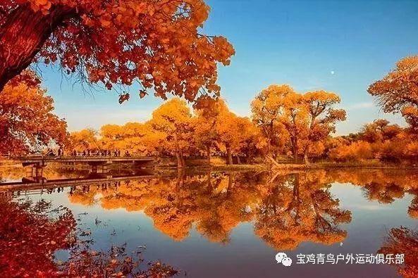 彩色夏天