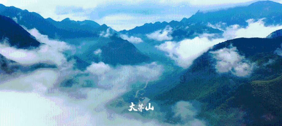 小猫钓鱼游戏龙王版有船
