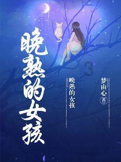 寂静岭5：归乡