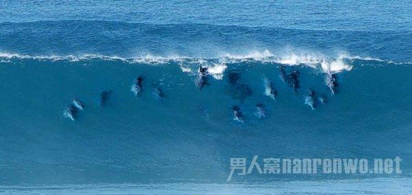 巫师之徒
