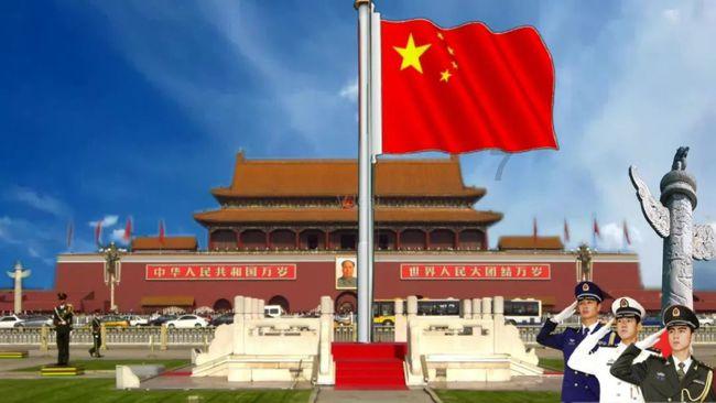 破碎的动物图形2