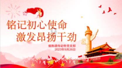 逗小猴开心系列214
