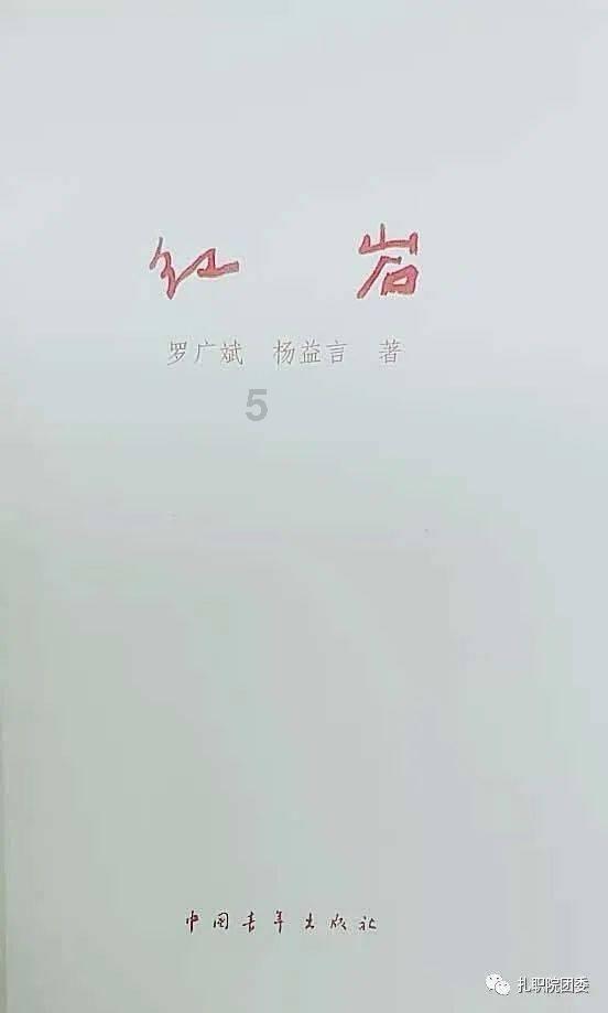 生化危机：浣熊市行动