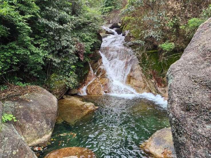 岁寒时节情意浓,关心慰问民心暖!苏州工业园区娄葑街道开展走访慰问活动