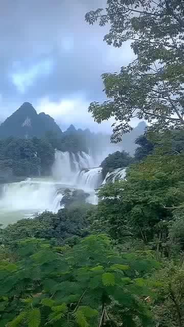 蓝狐视频
