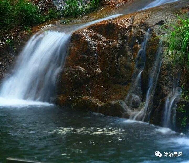 动物帮帮忙保卫家园