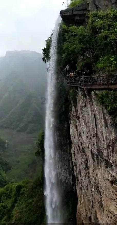战锤：全面战争