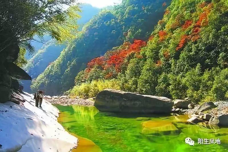 救援行政人员
