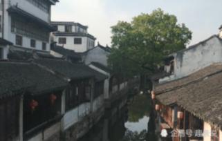 驾驶机动车在雾天行车开启雾灯和危险报警闪光灯?游戏画面