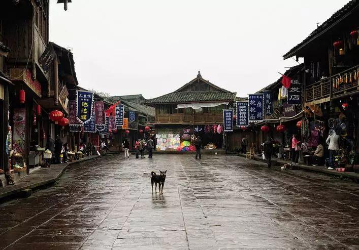 室友的矛盾