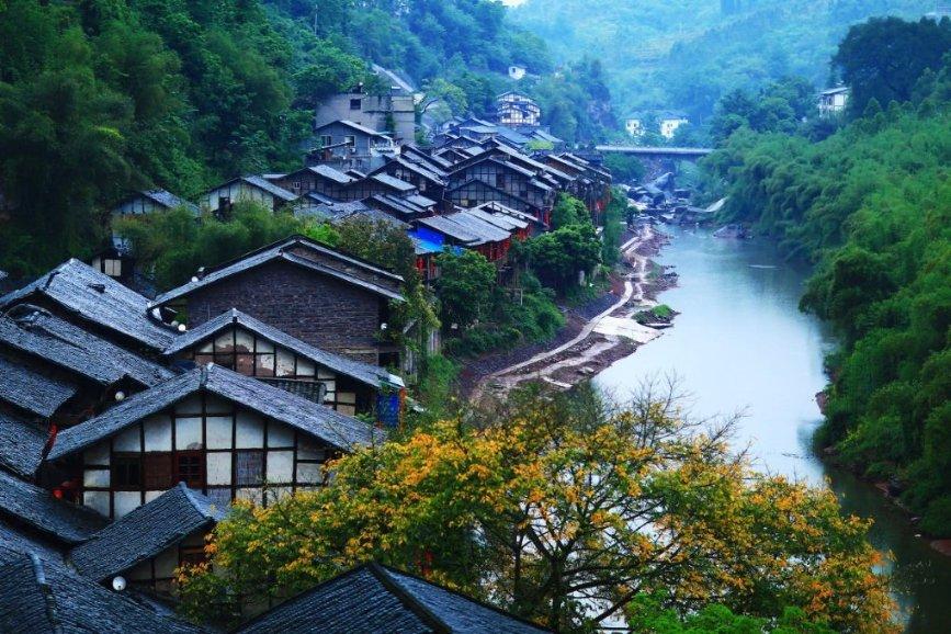 燃烧吧大脑免广告最新版