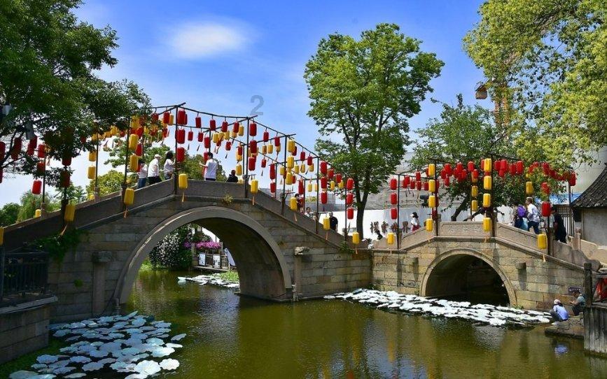 基金经理道歉登顶热搜 震荡市下“熬鸡汤”能否解投资者之“愁”
