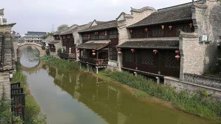 扬科维奇：世上只有已经下课和等待下课的教练
